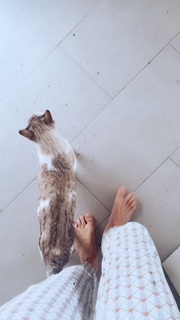 Sofía Ellar feet photo 15