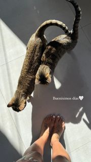 Sofía Moreno feet photo 2