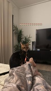 Sofía Moreno feet photo 17