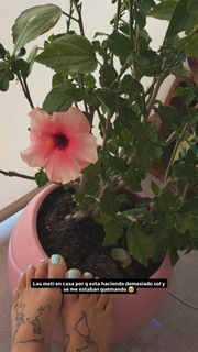 Sofía Moreno feet photo 2