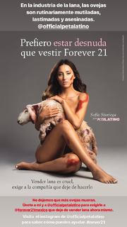 Sofía Sisniega feet photo 6