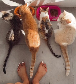 Sofía Suescun feet photo thumbnail