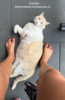 Sofía Suescun feet photo thumbnail