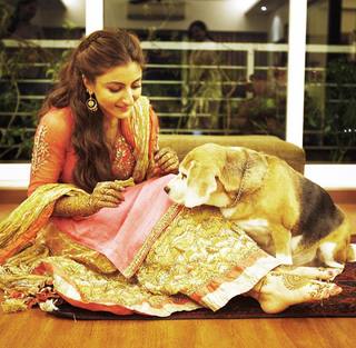 Soha Ali Khan feet photo 20