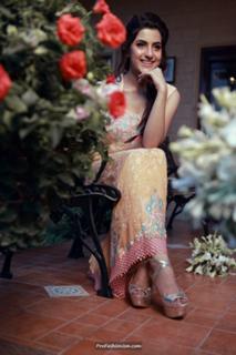 Sohai Ali Abro feet photo 2