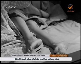 Soheir Ramzy feet photo 11