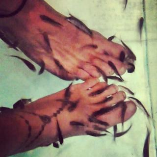 Solenn Heussaff feet photo 19