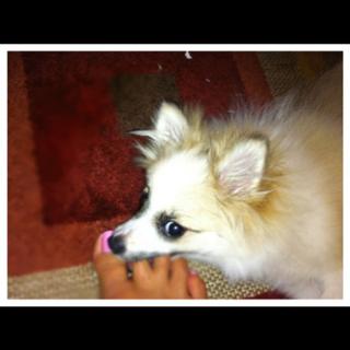 Somaya Reece feet photo 8