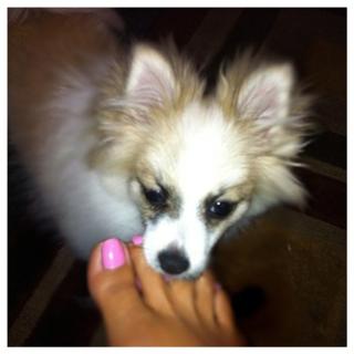 Somaya Reece feet photo 6