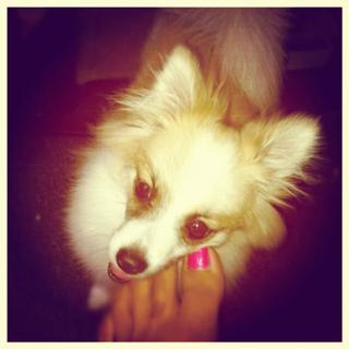 Somaya Reece feet photo 5