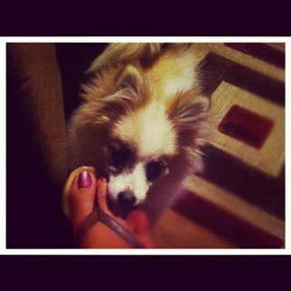 Somaya Reece feet photo 4