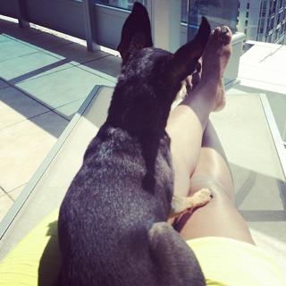 Sommore feet photo 20