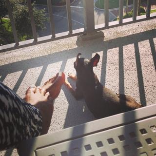 Sommore feet photo 14