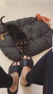 Sonakshi Sinha feet photo thumbnail
