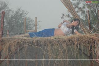 Sonal Chauhan feet photo thumbnail