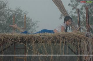 Sonal Chauhan feet photo thumbnail