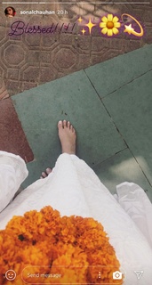 Sonal Chauhan feet photo thumbnail