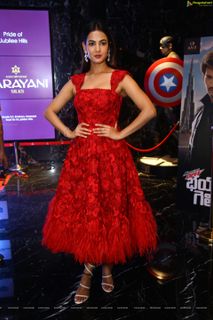 Sonal Chauhan feet photo 14