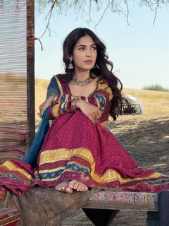 Sonal Chauhan feet photo 1