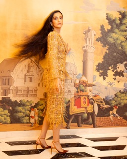 Sonam Kapoor feet photo thumbnail