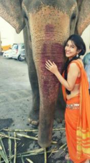 Sonarika Bhadoria feet photo thumbnail