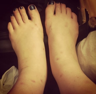 Sonia Bohosiewicz feet photo 17