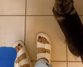 Sonia Bohosiewicz feet photo 17