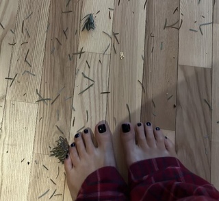 Sonia Bohosiewicz feet photo 1