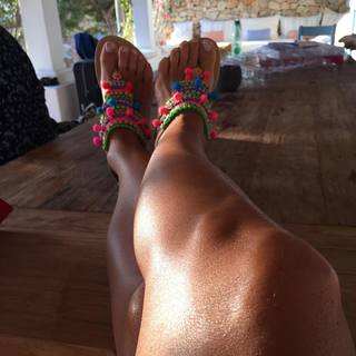 Sonia Bruganelli feet photo 16