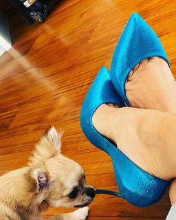 Sonia Bruganelli feet photo 15