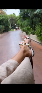 Sonia Bruganelli feet photo 3