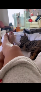 Sonia Bruganelli feet photo 15