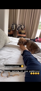 Sonia Bruganelli feet photo 15
