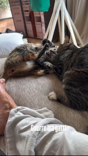 Sonia Bruganelli feet photo 8