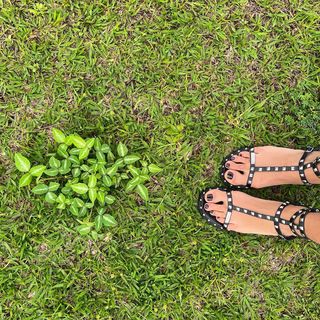 Sonia Rolland feet photo 9