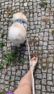 Sonny Loops feet photo 14