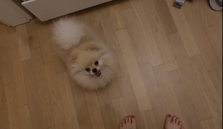 Sonny Loops feet photo 15