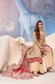 Sonya Hussain feet photo 16
