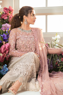 Sonya Hussain feet photo 12