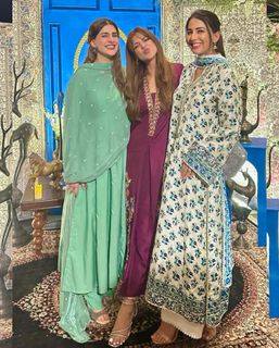 Sonya Hussain feet photo 8