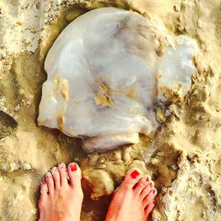 Sonya Kraus feet photo thumbnail