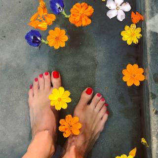 Sonya Kraus feet photo thumbnail