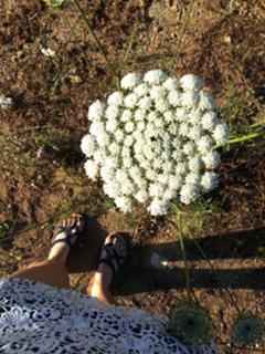 Sophia Abrahão feet photo thumbnail