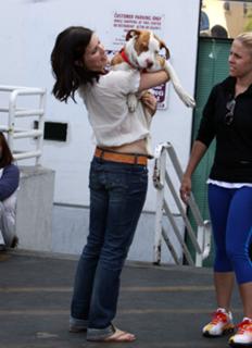Sophia Bush feet photo thumbnail