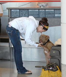 Sophia Bush feet photo thumbnail