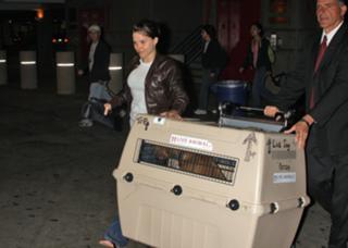 Sophia Bush feet photo thumbnail