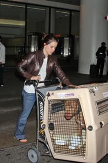 Sophia Bush feet photo thumbnail
