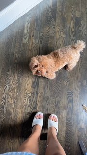 Sophia Campana feet photo 16