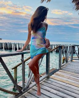 Sophia Culpo feet photo 20