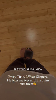Sophia Culpo feet photo 15